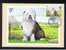 RB 682 - GB 1979 - PHQ Maximum Cards Set Of 4 First Day Issue - Dogs - Animal Theme - PHQ Cards