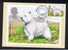 RB 682 - GB 1979 - PHQ Maximum Cards Set Of 4 First Day Issue - Dogs - Animal Theme - PHQ-Cards