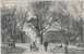 Rppc - CANADA - NEW BRUNSWICK - ST JOHN - KING SQUARE - LOOKING WEST  - LOCALS - CIRCA 1910 - St. John