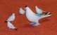 Pigeon  Et Famille Verre étiré Miniatures Décoratives TBE - Animaux