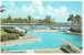 Caribe Hilton Swimming Pool San Juan Puerto Rico 1966 - Puerto Rico