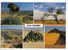 Namibia 1990 ( Stamp Marke Timbres ) - Namibie