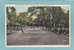 St. PETERSBURG  - Tourist Roque Courts , Williams Park  -  1925 -  BELLE CARTE ANIMEE  - - St Petersburg