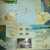 Folio Taiwan 2010 Seashell Stamps (IV) Shell Marine Life Fauna - Lots & Serien