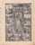 C0412 - Rivista Illustrata MISSIONI DELLA CONSOLATA 1949/Vicariato Di Nyeri (Kenya)/Madonna Di Fatima/Indios Tobas - Religion