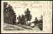 FINLAND1903 - Picture Postal Card Bearing The 10P, Circulated Within Finland - Brieven En Documenten