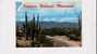 Roadway Through Saguaro National Monument, Tucson, Arizona - Tucson