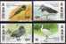 Zugvögel 1997 Dienst An Der Gemeinschaft Hongkong 811/4 ** 4€ Naturschutz Vögel Ammer Enten WWF Birds Set From HONG KONG - Unused Stamps