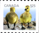 Canada 2011 MiNr. 2682 - 2685  Kanada Baby Wildlife Animals Birds - I 4v MNH** 9,50 € - Ours