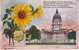 Kansas State Capitol Building , State Flower Sunflower, Topeka KS On C1910s Vintage  Postcard - Topeka