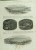 Illustrated London News  Dated  2nd December 1848  (the Pope, Kooranga + Burra Burra Mine, St Petersburgh Interest) - Newspaper Comics