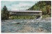 USA - SCENIC COVERED BRIDGE Over RIVER - 1950s-1960s Viintage Chrome Postcard - American Roadside