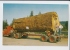 GIANT FIR LOG , OREGON . Old PC . USA - Other & Unclassified