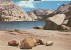 USA – United States – Tenaya Lake, Yosemite National Park, 1975 Used Postcard [P4459] - Yosemite