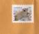 Mailed Cover (letter) With Stamp White Bear 2011   From Canada To Bulgaria - Briefe U. Dokumente