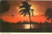 USA – United States – Moon Over Miami, 1971 Used Postcard [P4721] - Miami