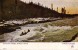 Yukon Canada - Shooting White Horse Rapids - Écrite En 1907 - 2 Scans - Yukon