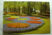 Keukenhof - Lisse Holland - Lisse