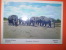 Elefante Africano Piccole Macchie Sul Retro - Olifanten