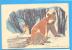 Bear, Ours. ROMANIA Postal Stationery Postcard 1966. - Bears