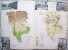 Delcampe - ROMANIA- GEOGRAPHIC ATLAS SCHOOL, PERIOD 1968,INDUSTRIAL IMAGES,VIEWS,MAPS - Scolaires