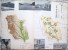 Delcampe - ROMANIA- GEOGRAPHIC ATLAS SCHOOL, PERIOD 1968,INDUSTRIAL IMAGES,VIEWS,MAPS - Scolaires