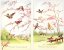 LOT DE 6 CPA BELLE FANTAISIE FANTAISY ILLUSTRATION Vroolijk Pinksterfest Pentecôte OISEAUX Paysage - Pentecôte