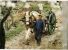 Peu Commun CHEVAL POILS LAINEUX ! Photo Jacques BERNARD Attelage GESTES PAYSAGES Paysan Agriculture CPM 1970s YVON CPAGR - Attelages