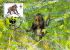 GUINEE  EQUATORIALE   WWF CARTE MAXIMUM NUM.YVERT  272  PROTECTION DE LA NATURE  SINGE MANDRILL - Maximum Cards