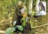 GUINEE  EQUATORIALE   WWF CARTE MAXIMUM NUM.YVERT  274  PROTECTION DE LA NATURE  SINGE MANDRILL - Cartes-maximum