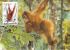 INDONESIE     WWF CARTE MAXIMUM NUM.YVERT  1175  PROTECTION DE LA NATURE SINGE ORANG OUTANG - Maximum Cards