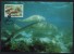 WWF - 1988 - Vanuatu - Dugong - FDC 1 Carte + 1 Lettre - Other & Unclassified