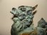 Rare Old  BRONZE GARGOYLE Statue - Bronzes