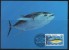 WWF - 1997 - Nauru - Thon Jaune - 1 Carte + 1 Lettre - Other & Unclassified