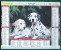 CALENDRIER ALMANACH DES P.T.T.  1997 AUTOMNE  DALMATIEN CHIENS - Big : 1991-00