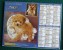 CALENDRIER ALMANACH DES P.T.T.  2000 CHIOTS CANICHE YORKSHIRE SPITZ NAIN ET GOLDEN RETRIEVER - Groot Formaat: 1991-00