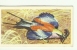 @@@ TROPICAL BIRDS Collection Card - Brooke Bond Tea - No:15 - LILAC BREASTED ROLLER - Other & Unclassified