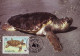 Anguilla 1983 MiNr. 541 - 544 Marine Life WWF Reptiles Turtles 4v MC  50,00 € - Tortues