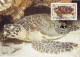 Anguilla 1983 MiNr. 541 - 544 Marine Life WWF Reptiles Turtles 4v MC  50,00 € - Schildpadden