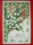 CP 1906 FLEURS MUGUET / De ERQUELINNES Vers BLAREGNIES / Cachet AULNOIS / Carte En Relief - Erquelinnes