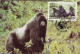 Rwanda 1985 MiNr. 1292 - 1296 Ruanda WWF Monkeys Eastern Gorilla(Gorilla Gorilla Beringei) 4 MC 24,00 € - Gorillas