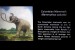 05A  021    @   Fossil  Mammoth Mammuthus   ( Postal Stationery , Articles Postaux ) - Fossielen