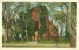 USA – United States – Church Graveyard At Jamestown, VA, 1920s-1930s Unused Postcard [P6134] - Altri & Non Classificati