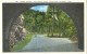 USA – United States – Lower Tunnel, The Great Smoky Mountains National Park, 1920s-1930s Unused Postcard [P6155] - USA National Parks