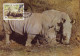 Swaziland 1987 Mi.No. 528 - 531 Animals White Rhinoceros  (Ceratotherium Simum) WWF 4v MC 16,00 € - Rhinoceros