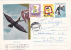 HIRONDELLE SWALOW Regisrted Cover Entier Postal Stationary 1961 Very Rare RRR,Romania. - Hirondelles