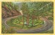 USA – United States – Scene Of Newfound Gap Highway, Great Smoky Mountains National Park, Unused Linen Postcard [P6202] - USA Nationalparks