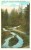 USA – United States – View In Cowen Park, Seattle, Washington, 1910s-1920s Unused Postcard [P6212] - Seattle