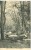 USA – United States – Scene In Ravenna Park, Seattle, Washington, Early 1900s Unused Postcard [P6260] - Seattle