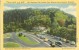 USA – United States – Newfound Gap Parking Area, Great Smoky Mountains National Park, Unused Linen Postcard [P6275] - Smokey Mountains